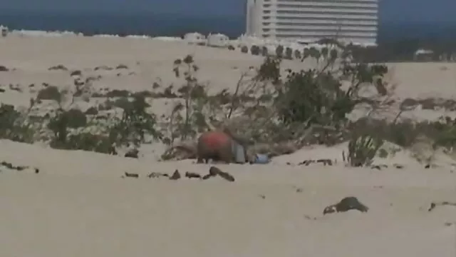قوية جوك فاشل و مارس مشاهده افلام اجنبيه جنسيه الجنس فتاة جديدة